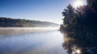 Lake foggy shore forest sunset - the shore free wallpaper