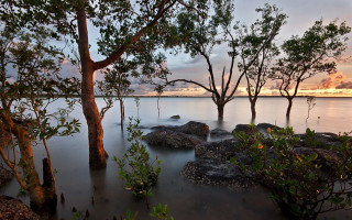 Tree water rocks sunset autumn - sunset free wallpaper
