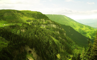 Mountain forest sky clouds nature - the side of the mountain free wallpaper