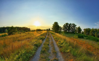 Dirt road field trees grass 6 - a dirt road in a field free wallpaper