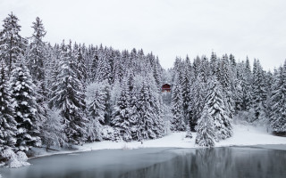 Lake snow trees forest red - a red sign free wallpaper