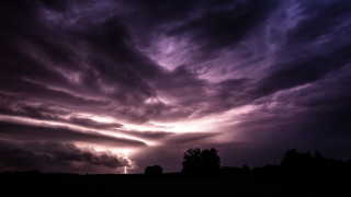 Purple sky clouds trees dusk - art free wallpaper