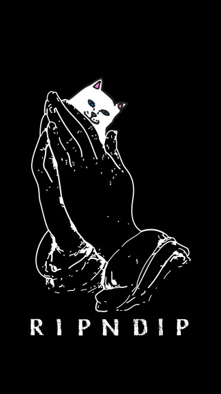 Black white cat ripndip chest - computer art free wallpaper