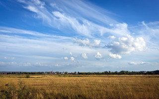 Field clouds houses trees landscape - house free wallpaper