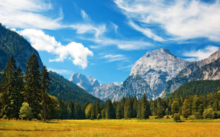 Mountain field forest trees sky - a grassy field free wallpaper