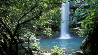 Waterfall forest blue pool trees 2 - a waterfall in the middle of a forest free wallpaper