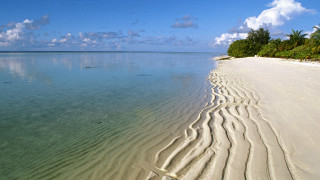 Sandy beach ocean trees clouds - a sandy beach free wallpaper