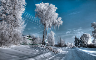 Snowy road telephone pole bare - both side of it free wallpaper