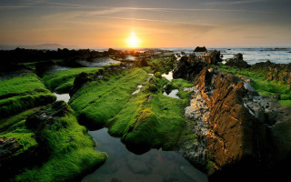 Sunset rocky beach green algae 7 - green alga free wallpaper