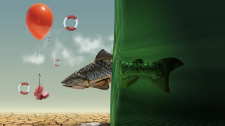 Fish balloon planet sky star - digital painting free wallpaper
