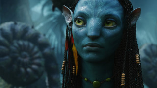 Blue skin woman green eyes - a necklace and earrings free wallpaper