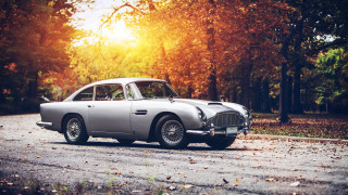 Silver car trees autumn leaves - a silver car free wallpaper