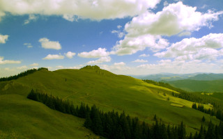 Green hill trees blue sky - edi rama free wallpaper