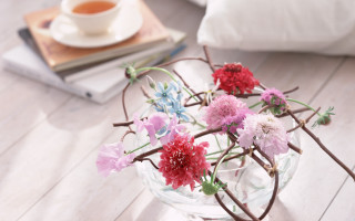 Blurry flower vase tea book - a glass vase free wallpaper