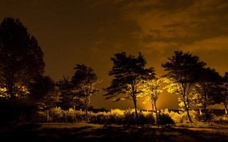 Night trees streetlight clouds autumn - atmospheric lighting free wallpaper