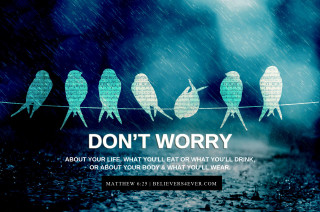 Birds wire worry rainy day - photo free wallpaper
