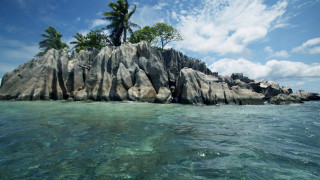 Rock formation tree ocean beach - camille bouvagne free wallpaper