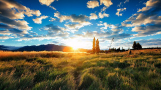 Sunset field tree clouds horizon - david boyd free wallpaper