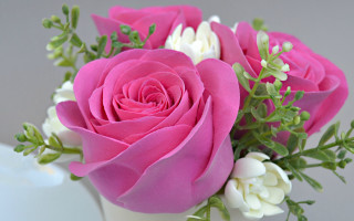White vase pink roses white - a white vase free wallpaper