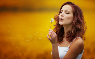 Dandelion blowing woman field yellow - a yellow sky free wallpaper