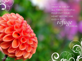 Flower marriage quote rococo flemish - anne rigney free wallpaper