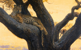 Leopard tree bird sunset mountain - an oil painting free wallpaper