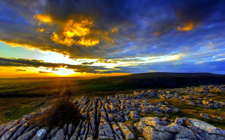 Sunset rocky landscape lone tree - beautiful landscape free wallpaper