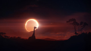 Giraffe sunset sky mountains moon - a sun free wallpaper