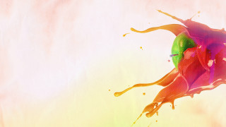 Colorful flower paint splash white 2 - alberto seveso free wallpaper