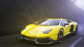 Yellow sports car night fog 3 - the ground and trees free wallpaper