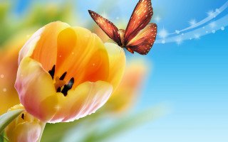 Butterfly yellow flower blue sky - a blue sky background free wallpaper