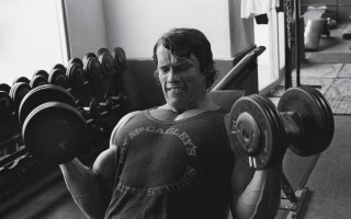 Man holding barbell gym dumbbell - arnold mesches free wallpaper