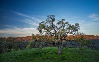 Hill trees clouds sky nature - dennis ashbaugh free wallpaper