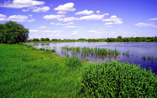 River green field clouds bench - river free wallpaper