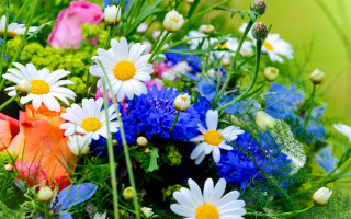 Flower bouquet blue white orange - a bouquet of flowers free wallpaper