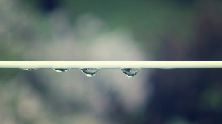 Water drops white pole macro - claire dalby free wallpaper