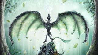 Dragon wings man hill tree - a painting of a dragon free wallpaper