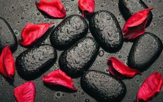 Black rocks red petals water - a black surface free wallpaper