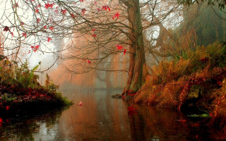 River redflowers redleaves trees impressionism - a river free wallpaper