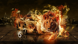 Lion fire breathing embers campfire - adobe photoshop free wallpaper