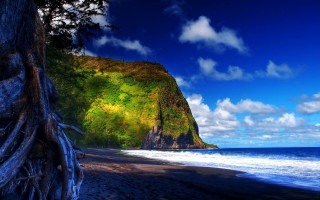 Beach tree cliff blue sky - a beach free wallpaper for desktop