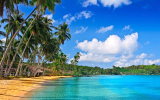 Beach palm trees ocean boat 2 - a few person free wallpaper