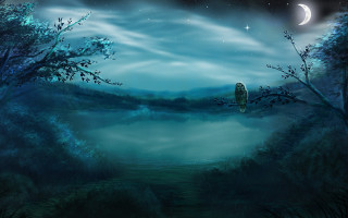 Night owl lake moon stars - a owl free wallpaper
