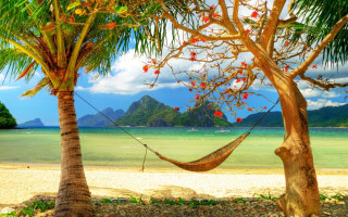 Hammock palm trees beach mountain 4 - two palm tree free wallpaper