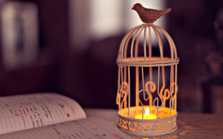 Bird cage candle table book - inside free wallpaper