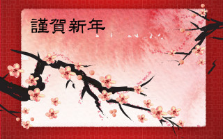 Cherry blossoms mount fuji sakura - the bottom of the picture free wallpaper