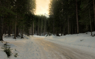 Snowy forest road magic godrays - godray free wallpaper