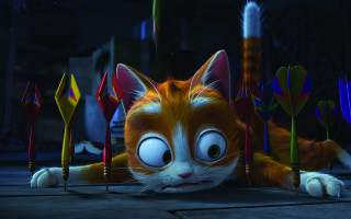 Cat arrows big eyed furry - big free wallpaper for desktop