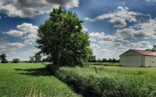 Barn tree farmhouse field sky - wide angle len free wallpaper