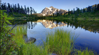 Mountain lake reflection trees grass 2 - tall grass and trees free wallpaper